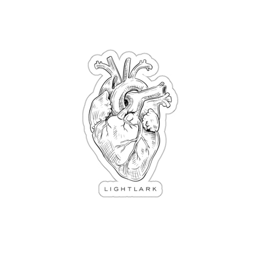 Anatomical Heart Die-Cut Sticker — Detailed Sketch Medical Art Sticker